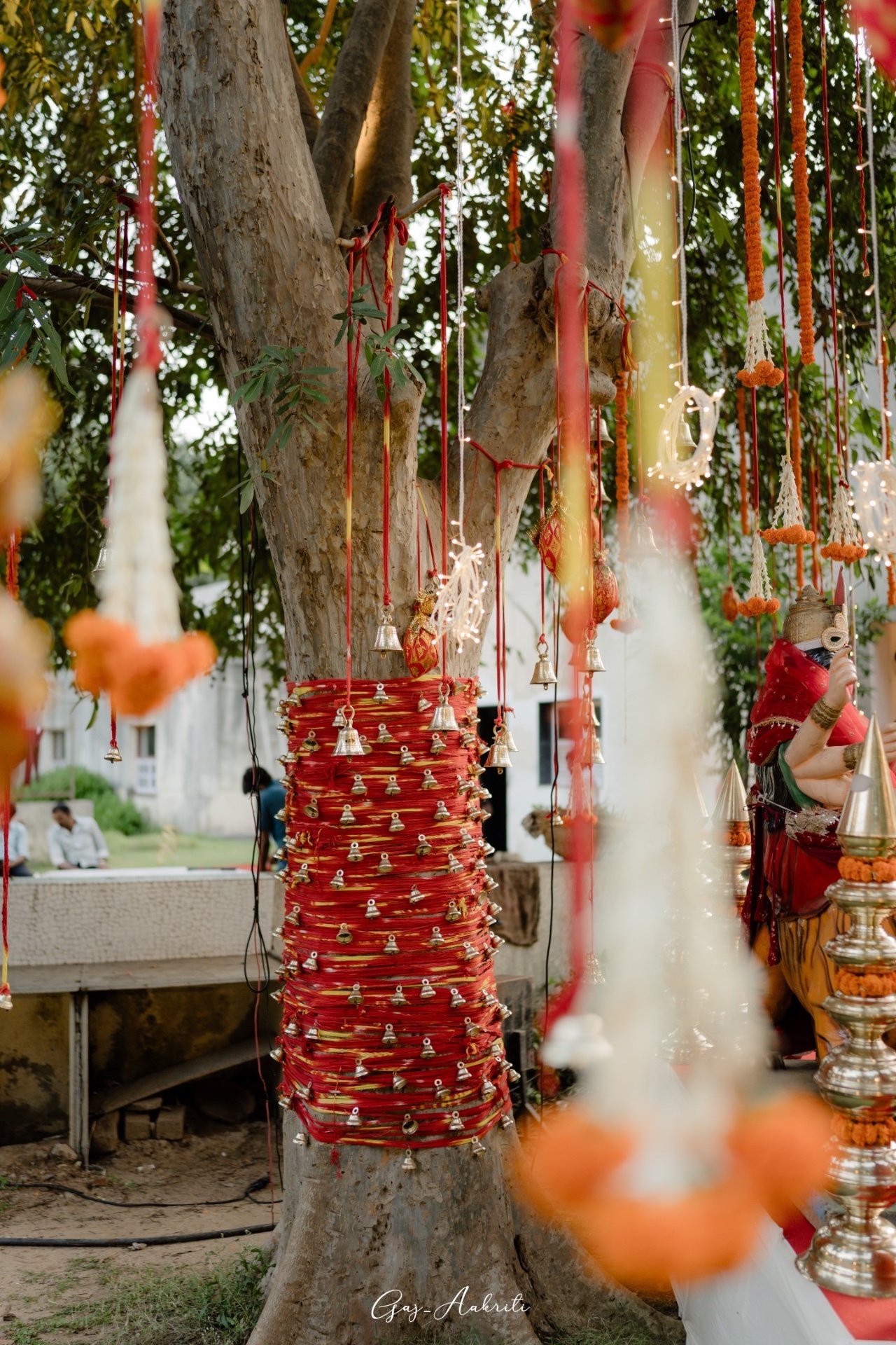 Bells on sacred tree